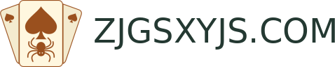 ZJGSXYJS.COM